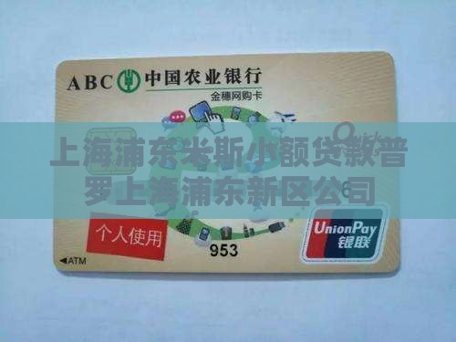 上海浦东米斯小额贷款