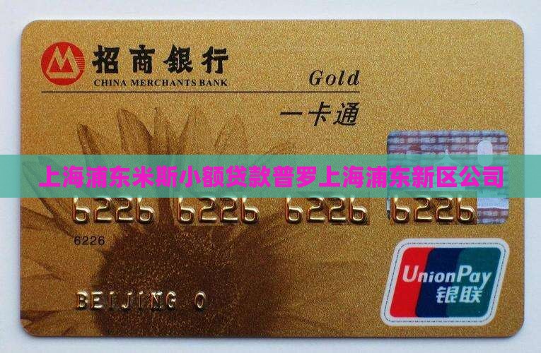 上海浦东米斯小额贷款