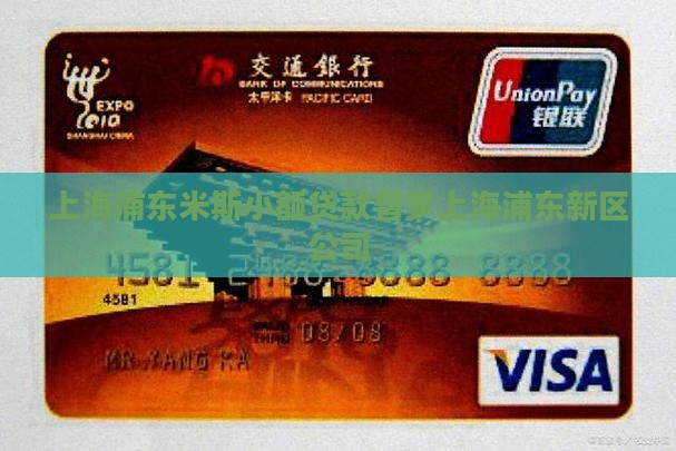 上海浦东米斯小额贷款
