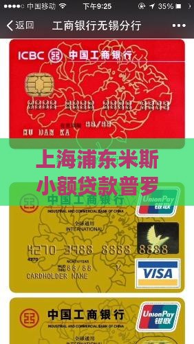 上海浦东米斯小额贷款