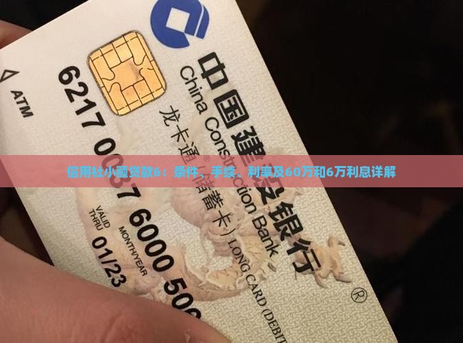 信用社小额贷款6