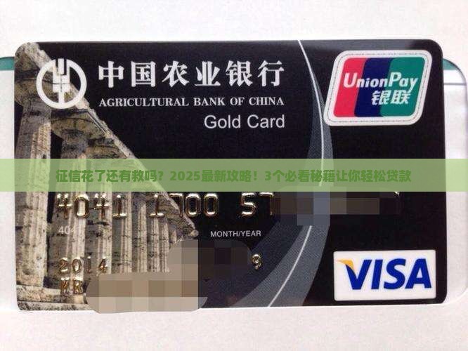 征信花有担保能贷款吗 征信花有担保能贷款吗