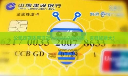 公司定期质押贷款