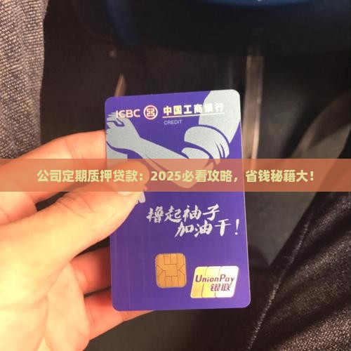 公司定期质押贷款