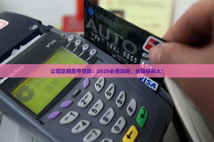 公司定期质押贷款