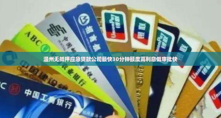 温州无抵押应急贷款公司