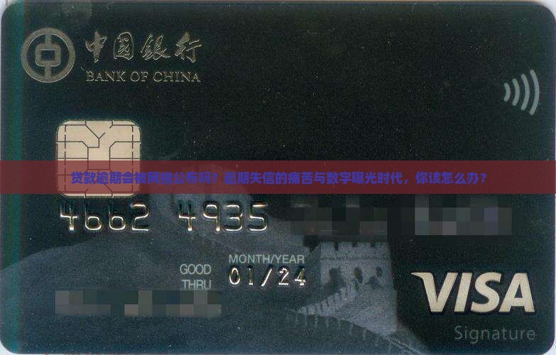 因贷款逾期将网络公布