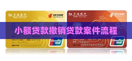 小额贷款撤销案件流程