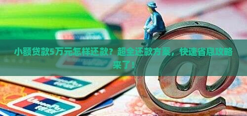 小额贷款5万元怎样还款