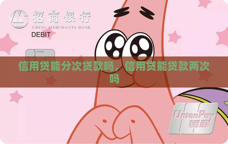 信用贷能分次贷款吗
