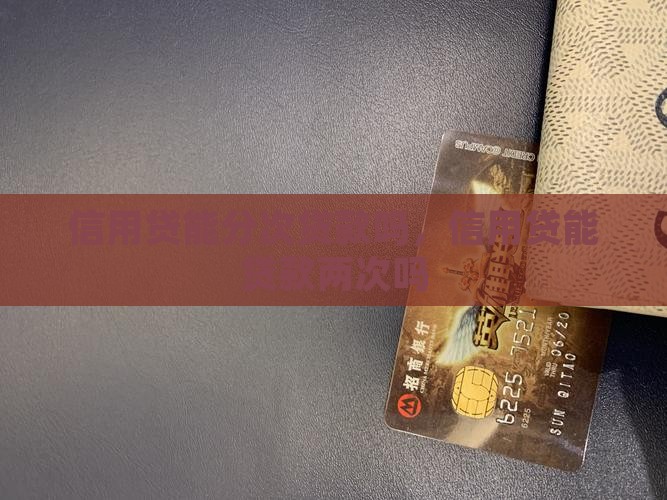 信用贷能分次贷款吗