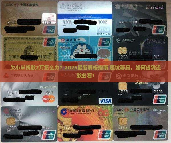 欠小米贷款2万怎么办
