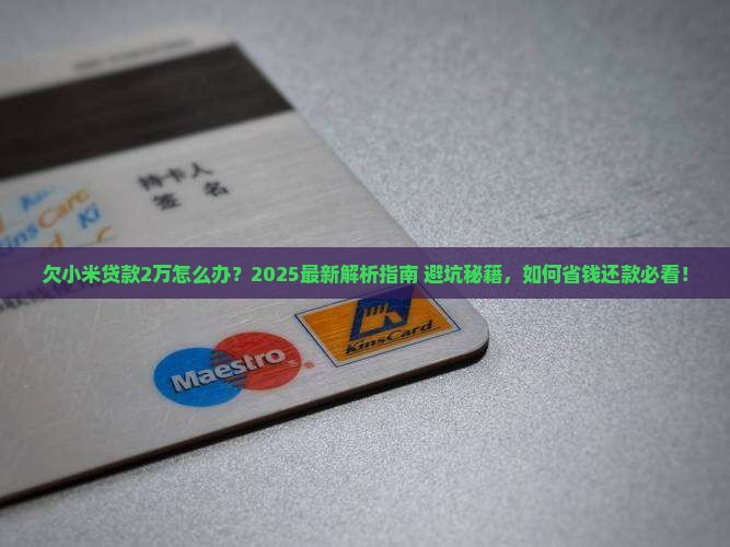 欠小米贷款2万怎么办