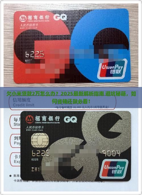 欠小米贷款2万怎么办