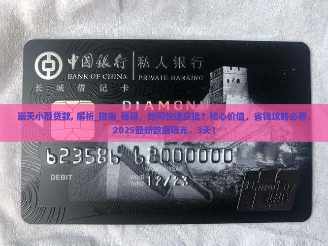 崇天小额贷款 崇天小额贷款