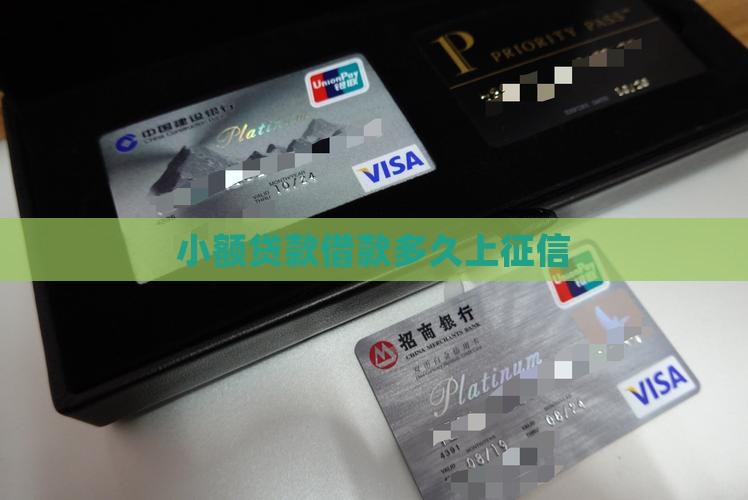 小额贷款借款多久上征信