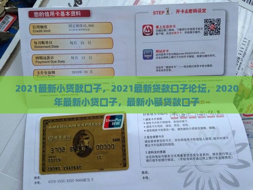 2021最新小贷款口子