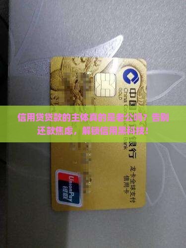 信用贷贷款的主体是老公