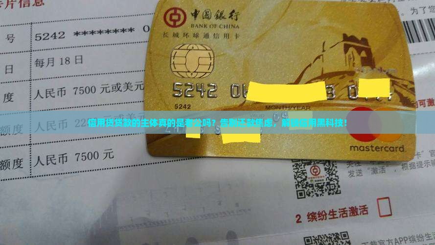 信用贷贷款的主体是老公