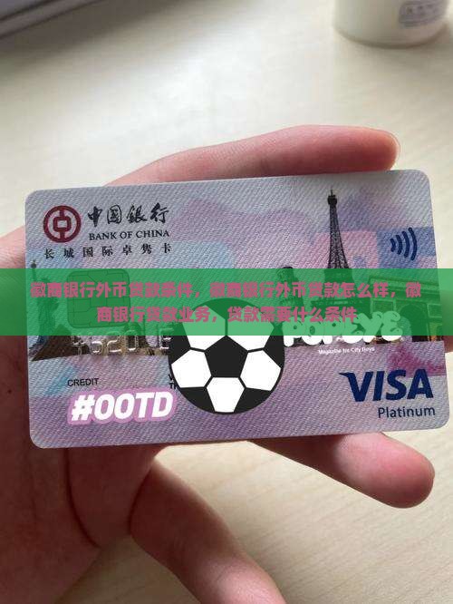 徽商银行外币贷款