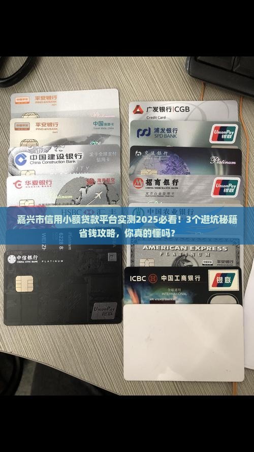嘉兴市信用小额贷款平台