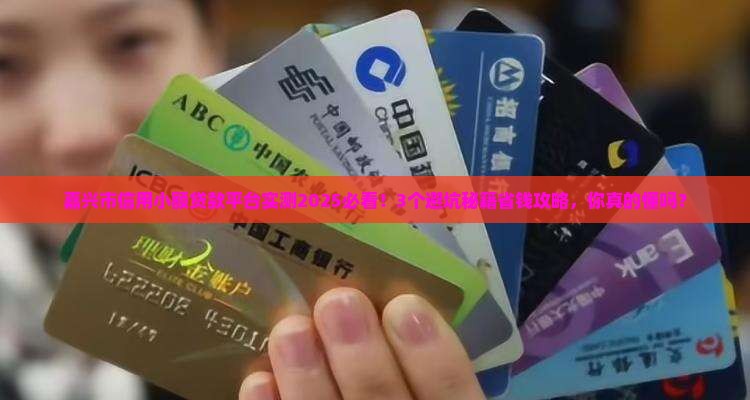 嘉兴市信用小额贷款平台