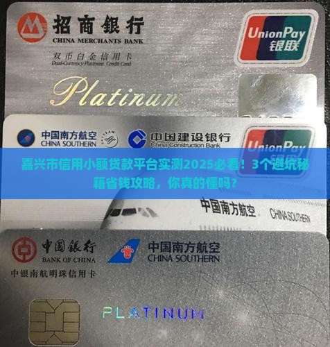 嘉兴市信用小额贷款平台