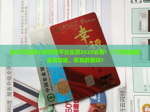 嘉兴市信用小额贷款平台