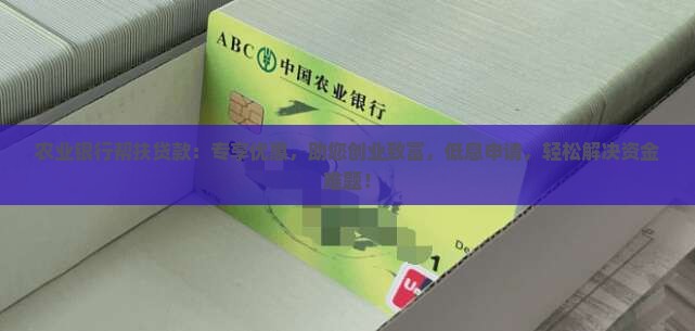 农业银行帮扶贷款