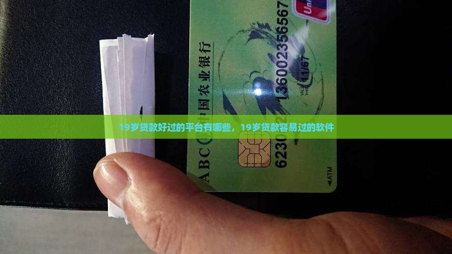 19岁贷款好过的平台