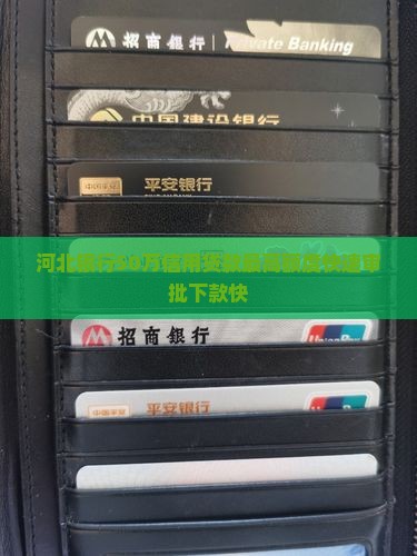 河北银行50万信用贷款