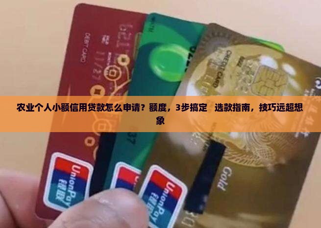 农业个人小额信用贷款