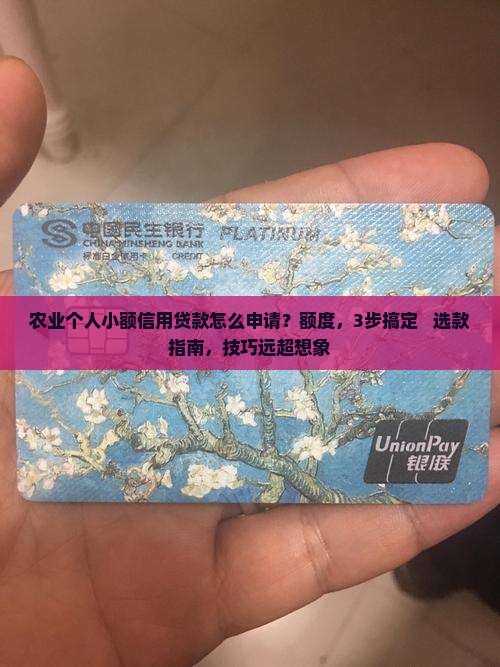 农业个人小额信用贷款