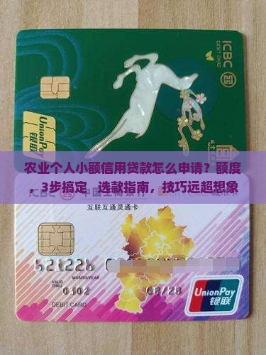 农业个人小额信用贷款