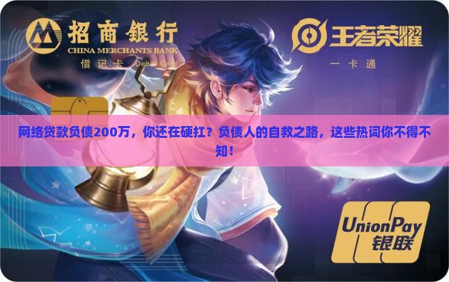 网络贷款负债200万