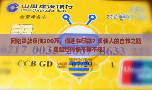 网络贷款负债200万