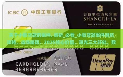 关于小额贷款的案件
