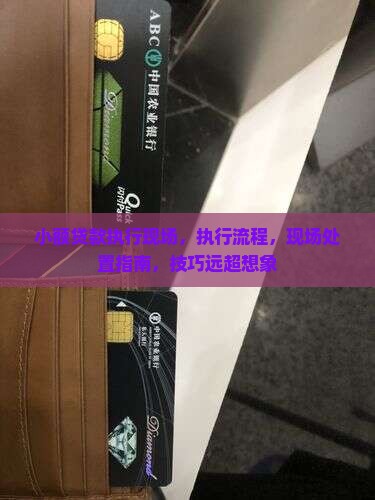 小额贷款执行现场