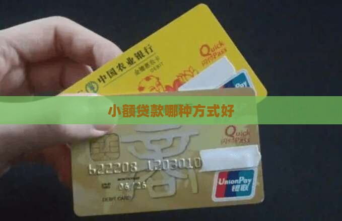 小额贷款哪种方式好