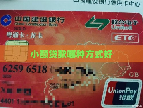 小额贷款哪种方式好