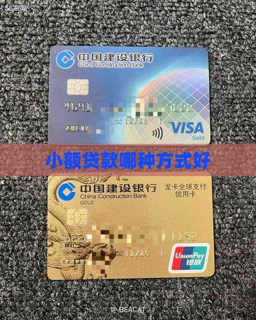 小额贷款哪种方式好