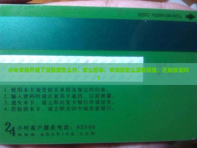 小米贷款开通了没额度 小米贷款开通了没额度