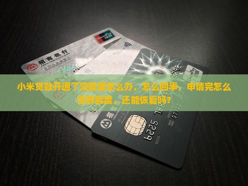 小米贷款开通了没额度 小米贷款开通了没额度