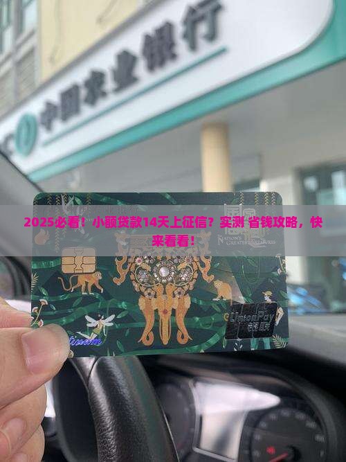 小额贷款14天上征信吗