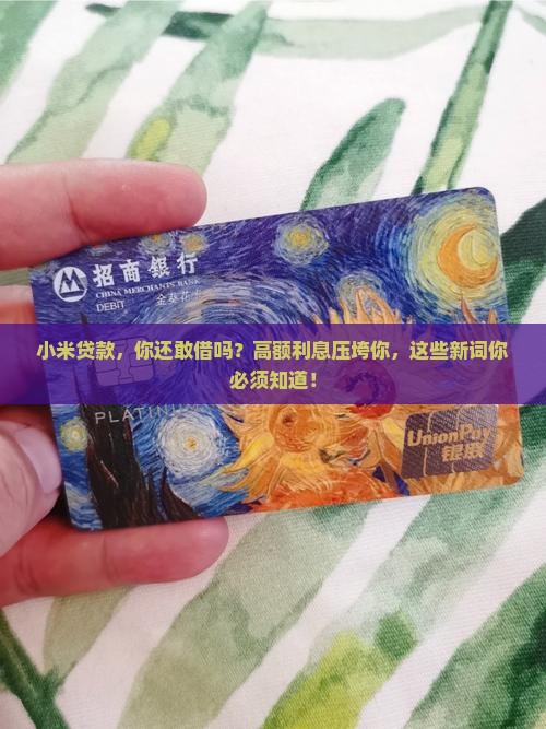 小米贷款追债