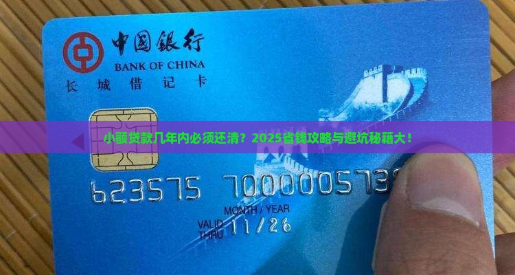 小额贷款最迟几年还清