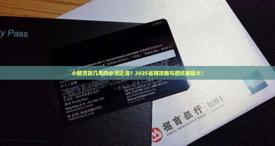 小额贷款最迟几年还清