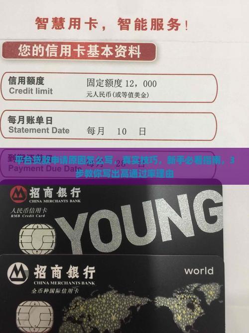 平台贷款申请原因怎么写