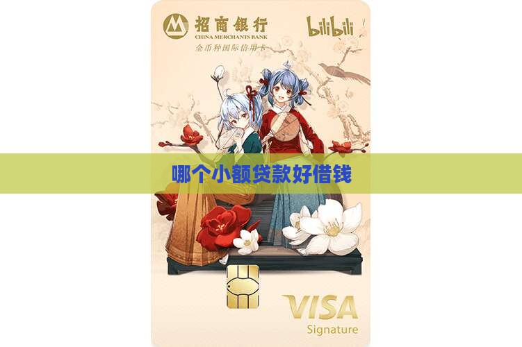 哪个小额贷款好借钱