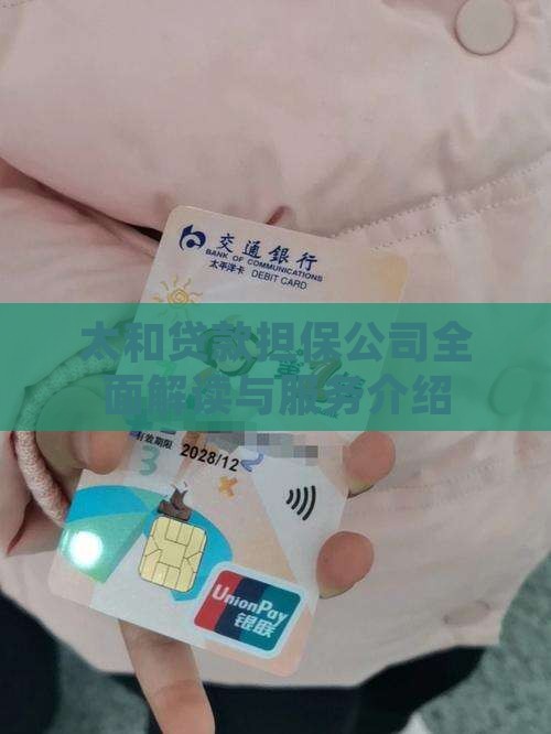 太和贷款担保公司全面解读与服务介绍